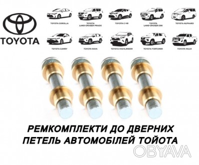 Ремкомплект петлі для усунення провисання дверей в автомобілях Toyota / Lexus

. . фото 1