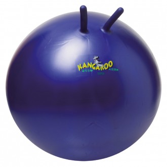 М'яч для стрибків дитячий TOGU Hopping Ball Junior ABS, 45 см, TG-310604-BL. Киев. фото 1 М'яч для стрибків дитячий TOGU Hopping Ball Junior ABS, 45 см, TG-310604-BL. Киев. фото 1