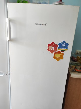 Продаю холодильник SNAIGE F 22SM. Трускавець. фото 1 Продаю холодильник SNAIGE F 22SM. Трускавець. фото 1
