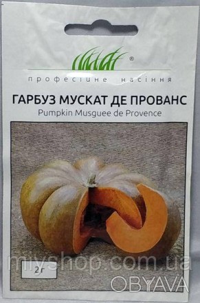 Середньостиглий сорт гарбуза. Врожайний, маса 5-8кг. Форма плодів округло приплю. . фото 1