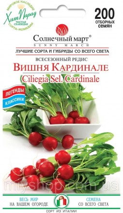 Редис Вишня Кардинале 200 шт Солнечный март. Лубны. фото 1 Редис Вишня Кардинале 200 шт Солнечный март. Лубны. фото 1