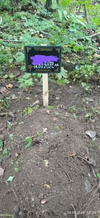 Поховання домашніх тварин у Тернополі. 0507178625. Тернопіль. фото 1 Поховання домашніх тварин у Тернополі. 0507178625. Тернопіль. фото 1