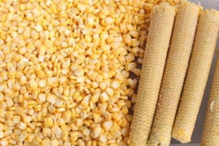 Напівавтоматична машина STvega Corn Pel 300 призначена для видалення зерен з кач. . фото 6