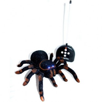 Игрушка гигантский паук на радиоуправлении Tarantula (Тарантул) KI-3020. Івано-Франківськ. фото 1 Игрушка гигантский паук на радиоуправлении Tarantula (Тарантул) KI-3020. Івано-Франківськ. фото 1