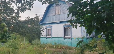 Терміново продам старий будинок в центрі села на 60 сотках землі в с.Осиково. Макарів. фото 1 Терміново продам старий будинок в центрі села на 60 сотках землі в с.Осиково. Макарів. фото 1