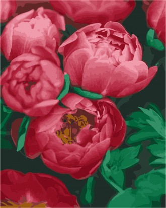 Картина по номерам ArtStory Красные пионы 40*50см. Рогатин. фото 1 Картина по номерам ArtStory Красные пионы 40*50см. Рогатин. фото 1