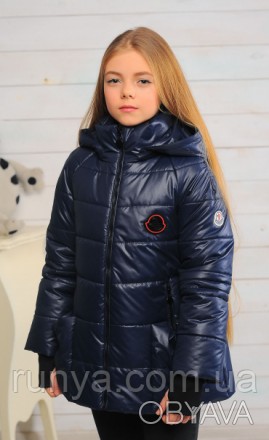 Куртка демисезон на девочку «Анабель». Модель с длинными рукавами, в которые вши. . фото 1