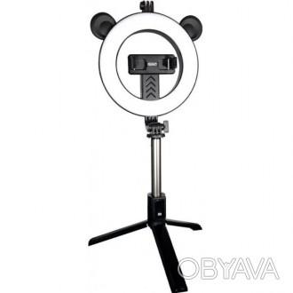 Лампа кільцева Earldom ET-ZP22 LED 16 cm 6 дюймів (Код товару:33631)