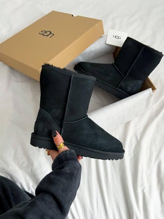 Черевики UGG Classic Short Black. Киев. фото 1 Черевики UGG Classic Short Black. Киев. фото 1