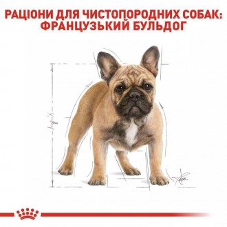 Royal Canin French Bulldog Adult - це перевірений часом повнораціонний сухий кор. . фото 5