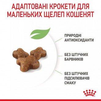 Для власників кошенят віком від 4 до 12 місяців, Royal Canin Kitten є ідеальним . . фото 8