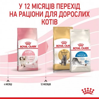 Для власників кошенят віком від 4 до 12 місяців, Royal Canin Kitten є ідеальним . . фото 9