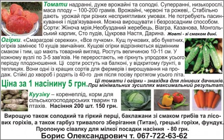 Нвсіння огородніх культур. Харьков. фото 1 Нвсіння огородніх культур. Харьков. фото 1