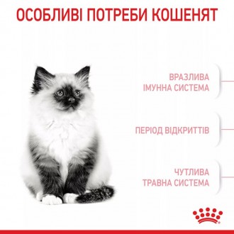 Для власників кошенят віком від 4 до 12 місяців, Royal Canin Kitten є ідеальним . . фото 5