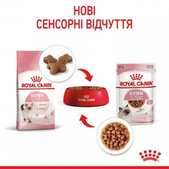 Вологий корм для котів Royal Canin Kitten Gravy
Повнораціонний збалансований вол. . фото 5