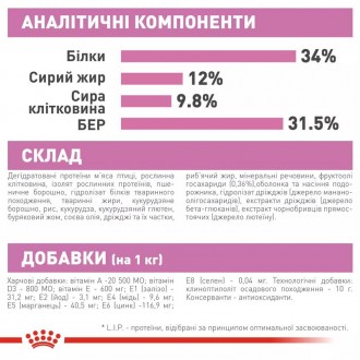 Стерилізація - це важливий крок у житті вашого кошеняти, і його харчування повин. . фото 6