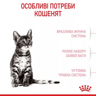 Стерилізація - це важливий крок у житті вашого кошеняти, і його харчування повин. . фото 5