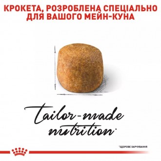 Royal Canin Maine Coon Adult - повнораціонний сухий корм для дорослих котів поро. . фото 4