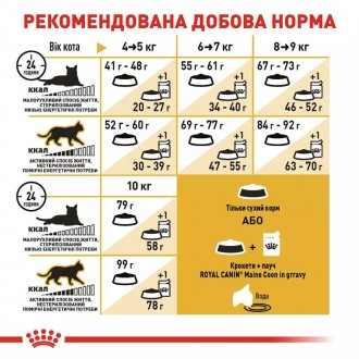 Royal Canin Maine Coon Adult - повнораціонний сухий корм для дорослих котів поро. . фото 8