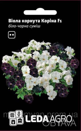 Виола Корина F1 бело-черная смесь 10н Л