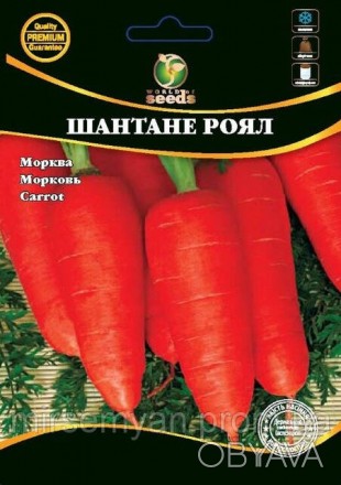 Морковь "Шантане Роял" 10 г. WoS
Среднепоздний высокоурожайный сорт. К уборке ур. . фото 1