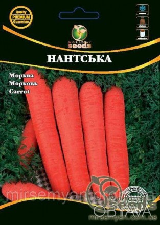 Среднеспелый сорт. Корнеплод цилиндрической формы с тупым кончиком, длиной 10-18. . фото 1