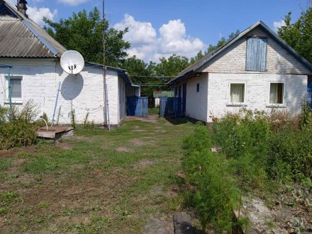 Продам будинок для дружньої сім'ї. . фото 3 Продається будинок Полтавська область, в селі Великі Сорочинці ,район Горбанівк. . фото 3