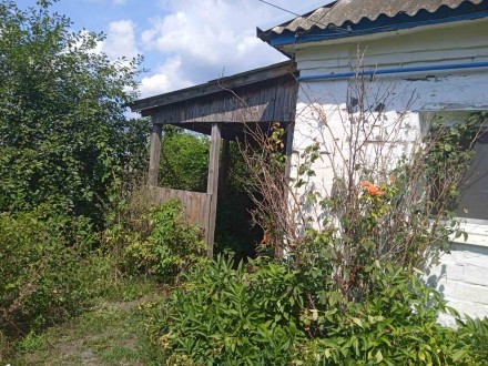 Продам будинок для дружньої сім'ї. . фото 5 Продається будинок Полтавська область, в селі Великі Сорочинці ,район Горбанівк. . фото 5