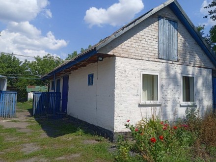 Продам будинок для дружньої сім'ї. . фото 4 Продається будинок Полтавська область, в селі Великі Сорочинці ,район Горбанівк. . фото 4