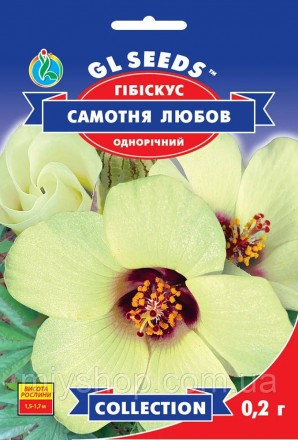 Гибискус Одинокая любовь 0,2гр Glseeds. Лубни. фото 1 Гибискус Одинокая любовь 0,2гр Glseeds. Лубни. фото 1