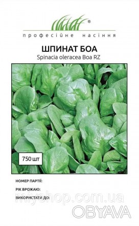 Шпинат Боа 750шт Професійне насіння