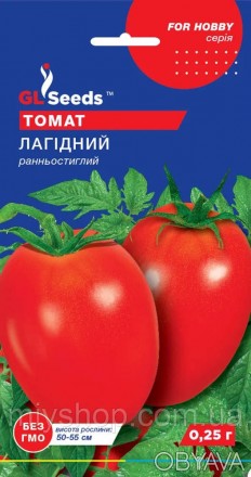 Суперврожайний ранньостиглий (105-110 днів) сорт. Рослина нештамбова детермінант. . фото 1