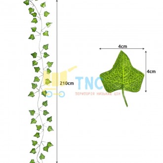 GARDLOV 19733
12.6 МЕТРІВ/6 ЛОЗ ПО 2.1 МЕТРА ШТУЧНИЙ ПЛЮЩ-ГІРЛЯНДА ШТУЧНЕ ЛИСТЯ . . фото 10