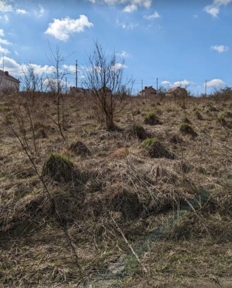 Продається земельна ділянка під житлову забудову у с. Байківці. Площа земельної . . фото 4