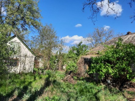 Продам 1/2 будинку с.Рогозів. Бориспіль. фото 1 Продам 1/2 будинку с.Рогозів. Бориспіль. фото 1
