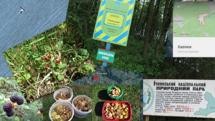 Ділянка з будинком в природному заповіднику України. Хаенки. фото 1 Ділянка з будинком в природному заповіднику України. Хаенки. фото 1