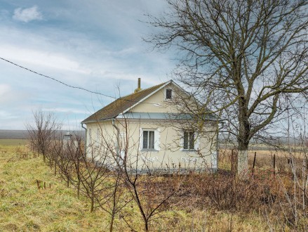 Будинок біля Гощі. Франівка. фото 1