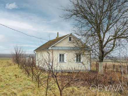 Будинок біля Гощі