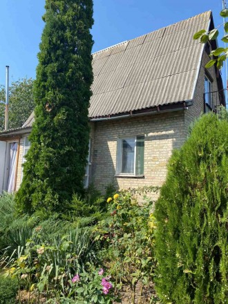 Продаж будинку в с. Саливонки,Білоцерківський р-он. . фото 2 Продається будинок у затишному селі Саливонки, Білоцерківський район!
• Ро. . фото 2