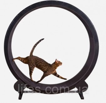 Беговое колесо для котов CutePet R01 XXL для средних и крупных пород кошек Цвет. Одеса. фото 1 Беговое колесо для котов CutePet R01 XXL для средних и крупных пород кошек Цвет. Одеса. фото 1