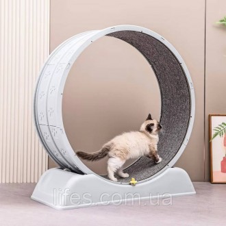 Беговое колесо для котов CutePet R03 L для малых и средних пород кошек Цвет С. Одеса. фото 1 Беговое колесо для котов CutePet R03 L для малых и средних пород кошек Цвет С. Одеса. фото 1