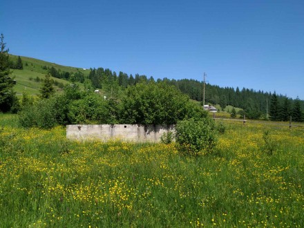 Земля в Карпатах. Верховина. фото 1