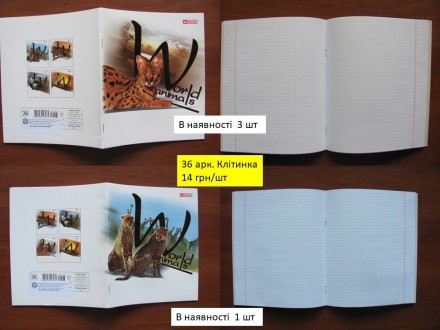 Зошити загальні 36 і 96 аркушів (клітинка, лінійка). Киев. фото 1 Зошити загальні 36 і 96 аркушів (клітинка, лінійка). Киев. фото 1
