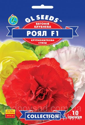 Бегония Роял F1 семена (10 шт) смесь, Collection, TM GL Seeds