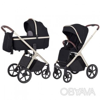 Коляска універсальна CARRELLO Vector CRL-6550 2в1 Pearl Black /1/. . фото 1
Сучасний стиль життя - елегантність і виразність. Перевірені рішення, сучасні . . фото 1