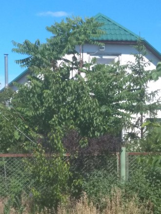 Сдам дом в Спепановке Полтавский р-н.. Полтава. фото 1 Сдам дом в Спепановке Полтавский р-н.. Полтава. фото 1
