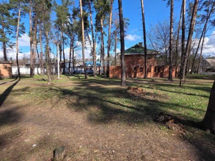 Торговые помещения, 200.00 кв.м. Буча. фото 1 Торговые помещения, 200.00 кв.м. Буча. фото 1