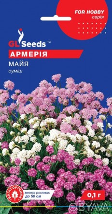 Семена Армерии Майя; (0.1г), For Hobby, TM GL Seeds