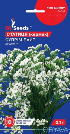 Семена Статицы Суприм Вайт (0.1г), For Hobby, TM GL Seeds