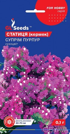 Семена Статицы Суприм Пурпур (0.1г), For Hobby, TM GL Seeds